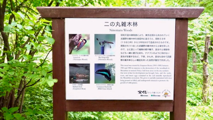 皇居のお庭 皇居東御苑