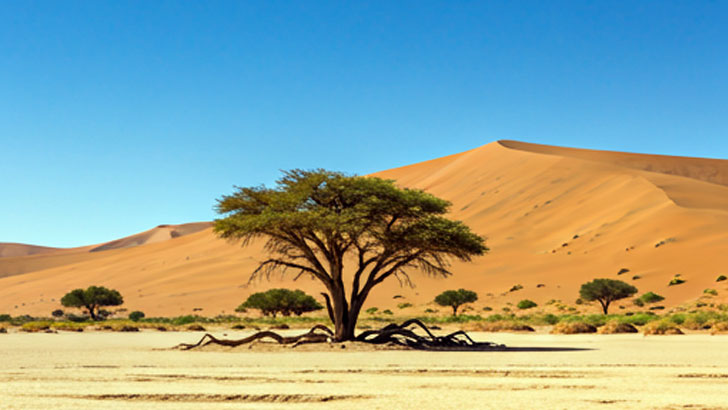 ナミブナウクルフト国立公園（ナミビア）：世界最古の砂漠